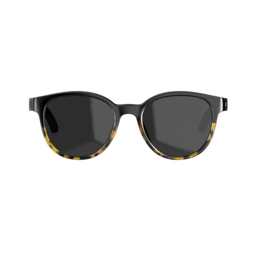 Rheos Wyecreeks Sunglasses - Gradient/Smoke