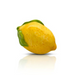 Nora Fleming Lemon Squeeze Mini - The Cottage