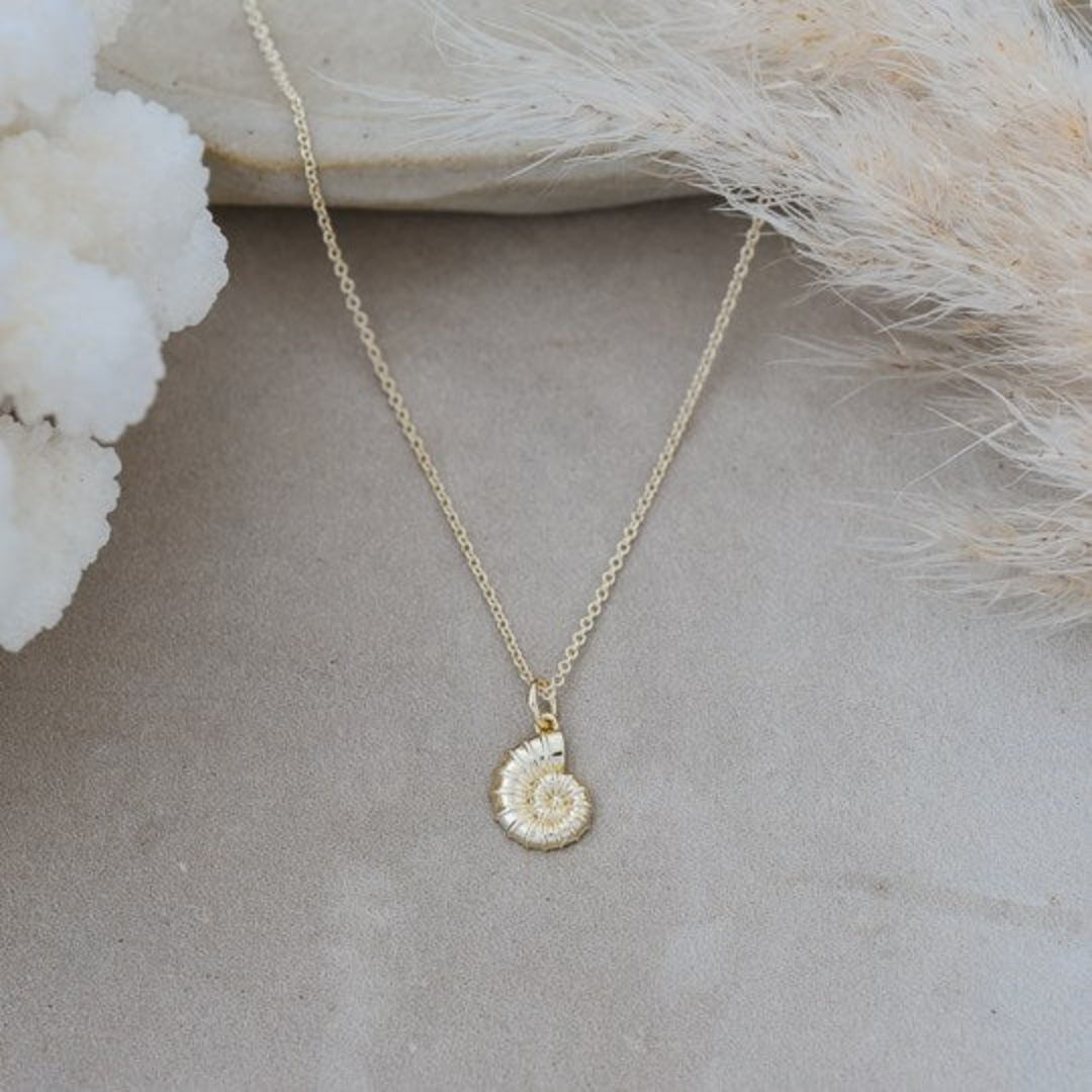 Glee Spiral Shell Necklace - The Cottage