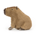 Jellycat Clyde Capybara - The Cottage