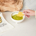 Mud Pie Guacamole Dip Cup Set - The Cottage