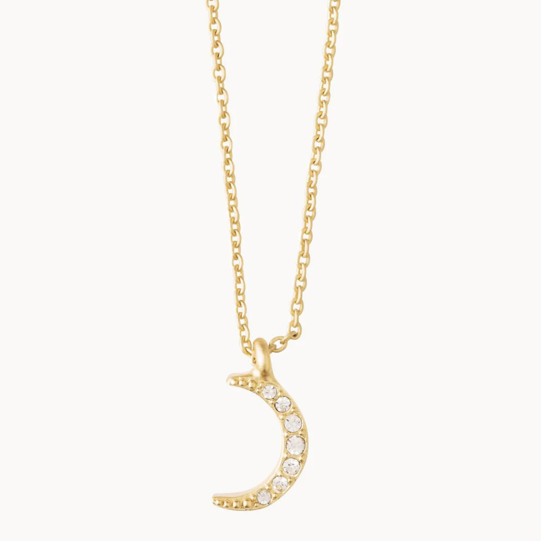 Spartina Sea La Vie Guiding Light Necklace