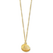 Ellie Vail Georgina Shell Pendant Necklace - Gold - The Cottage