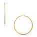 Ellie Vail Laurette Large Hoop Earrings - Gold - The Cottage