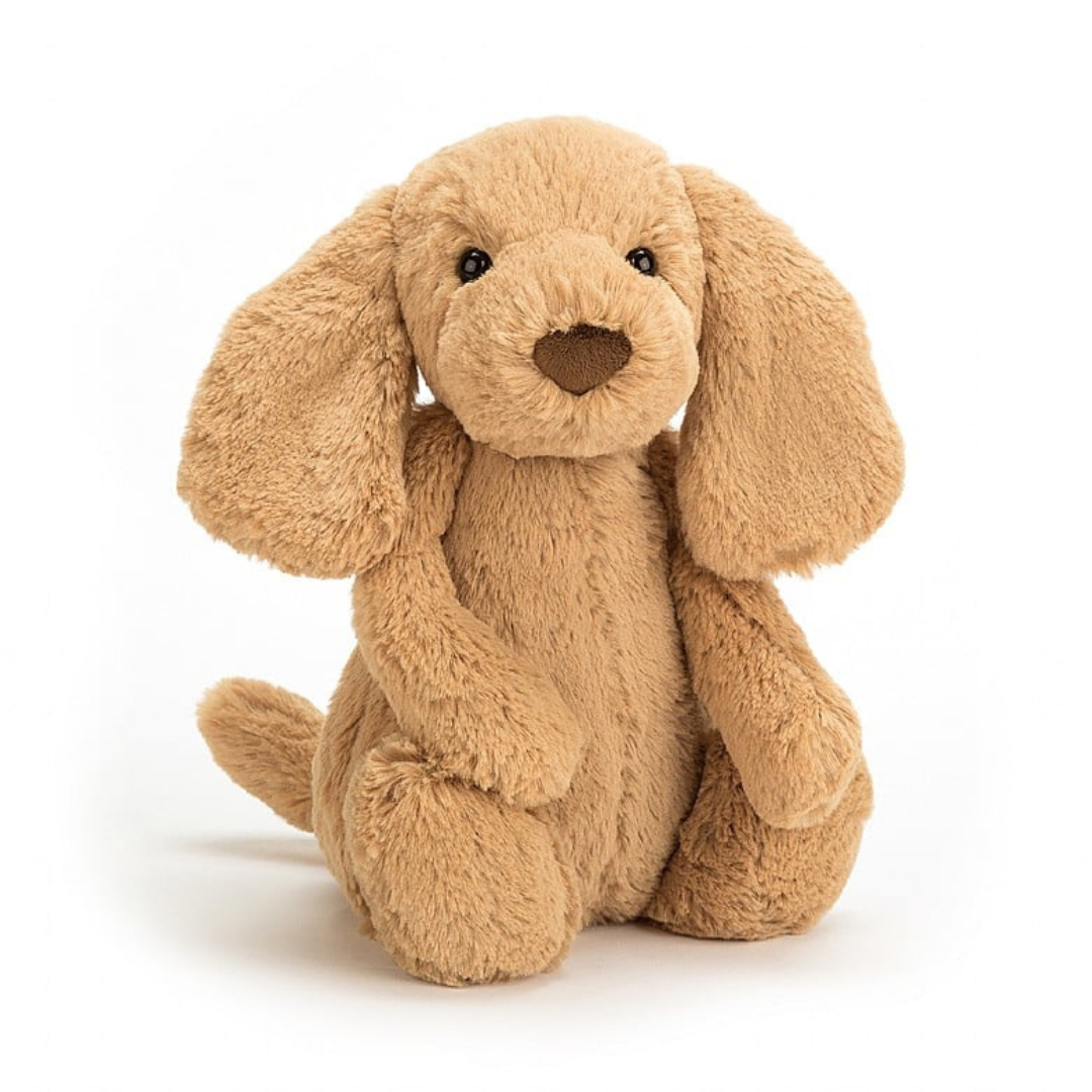 Jellycat Bashful Toffee Puppy - The Cottage