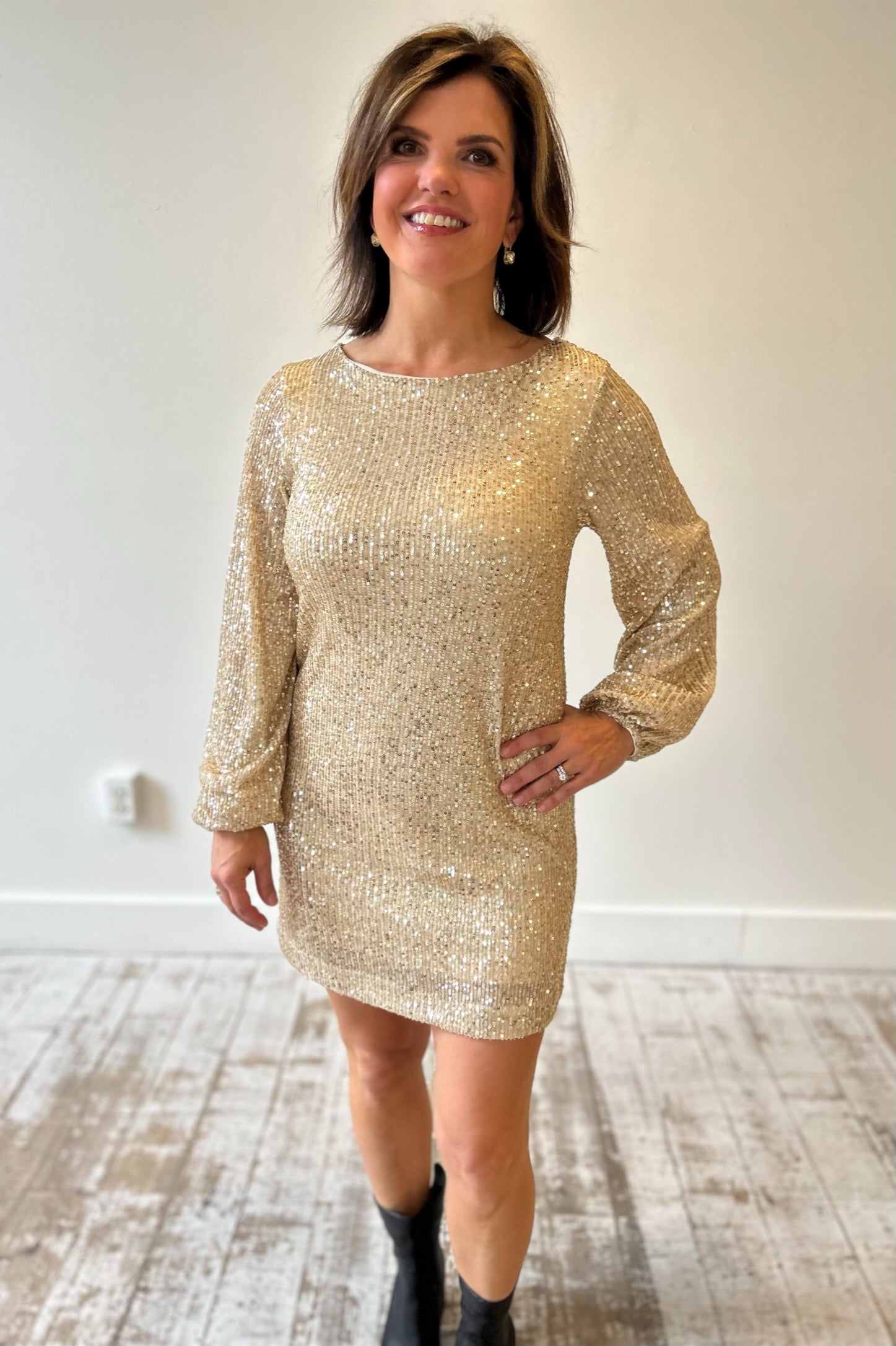 Z Supply Andromeda Sequin Dress