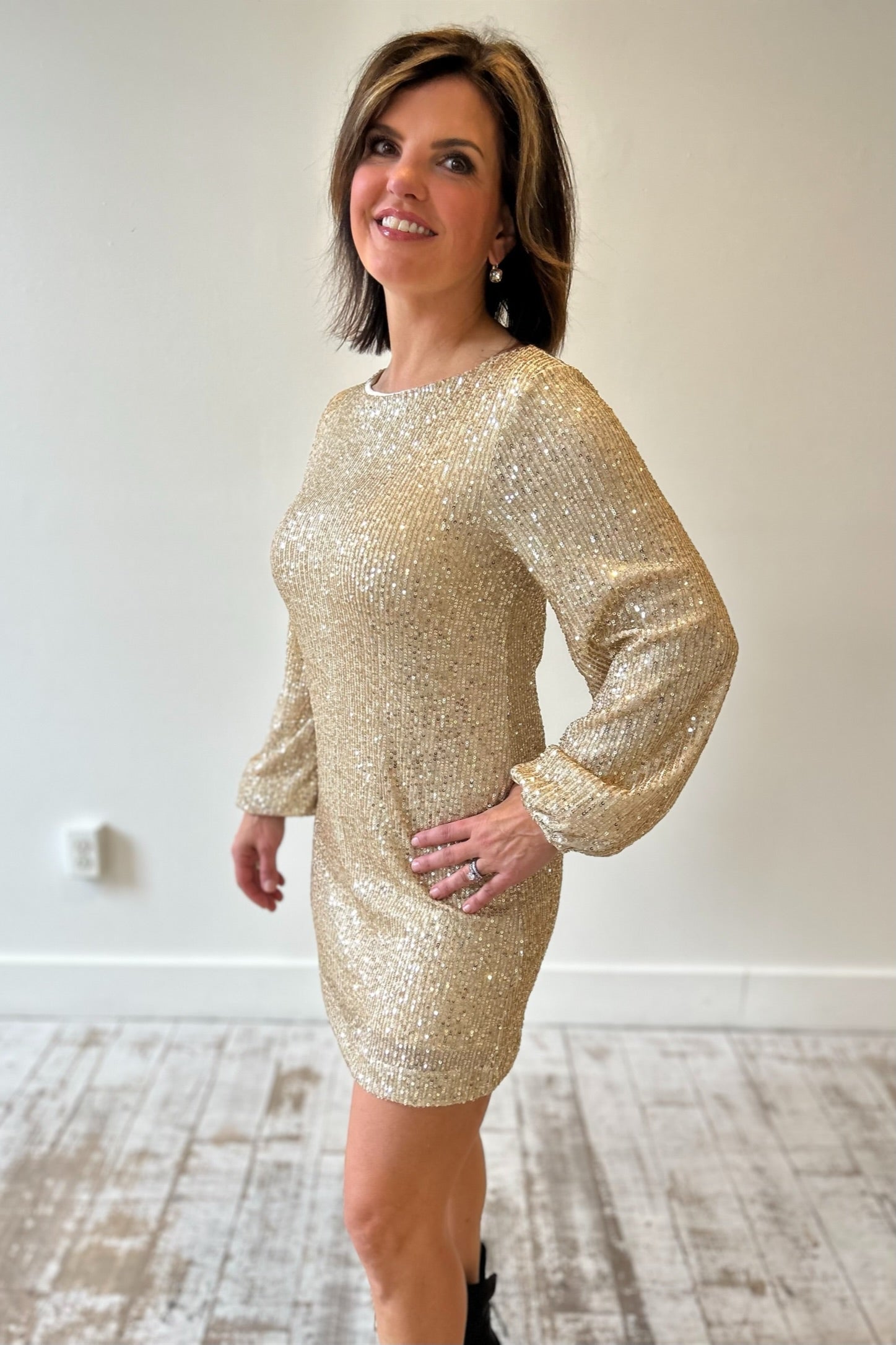 Z Supply Andromeda Sequin Dress