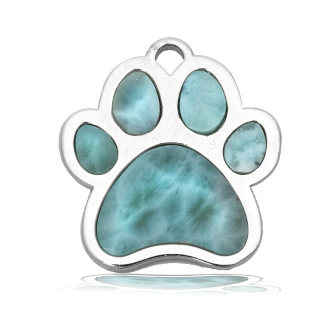 T. Jazelle Paw Charm Bracelet - Larimar