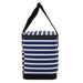 Scout The Stiff One - Nantucket Navy - The Cottage