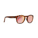 Rheos Seabrooks Sunglasses - The Cottage